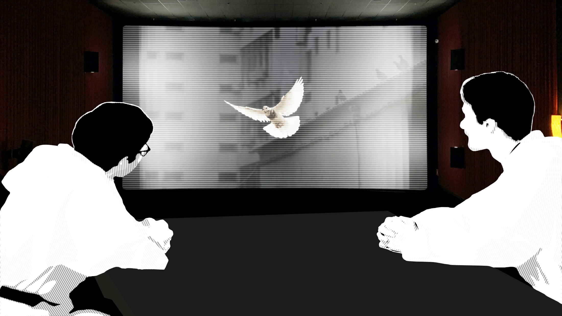 Due frati guardano uno schermo dove vola una colomba